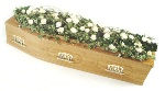 Rose and Ivy Casket Spray